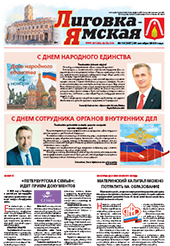 Выпуск №10 (257) от 29 октября 2020 года